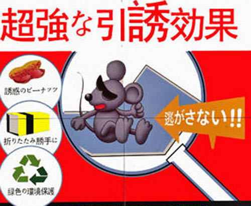 ������ճ�����]